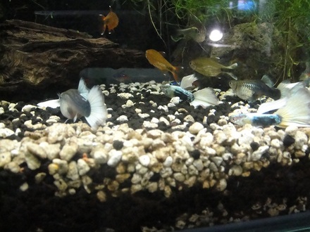 2012051400.jpg