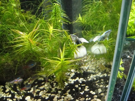 2012051401.jpg