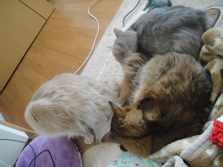 2012051402.jpg