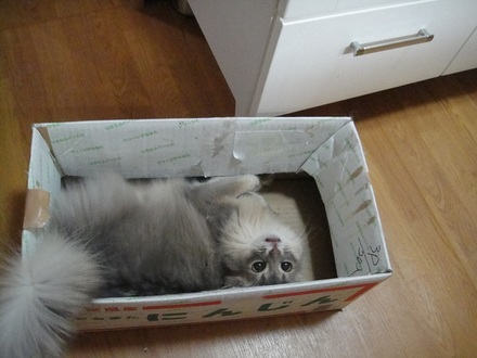 2012051603.jpg