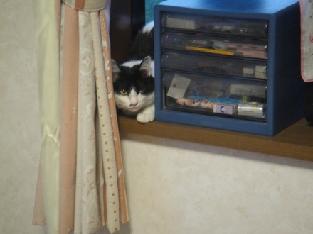 2012051900.jpg