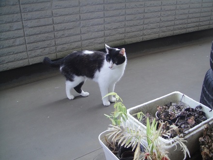 2012051901.jpg