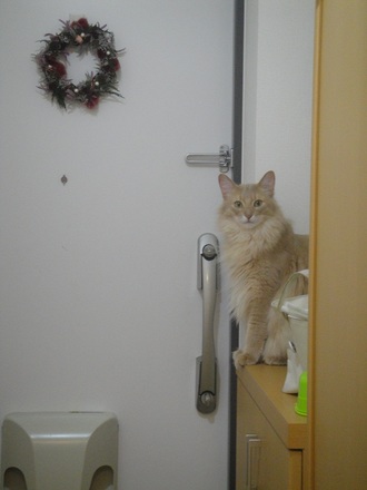 2012052002.jpg