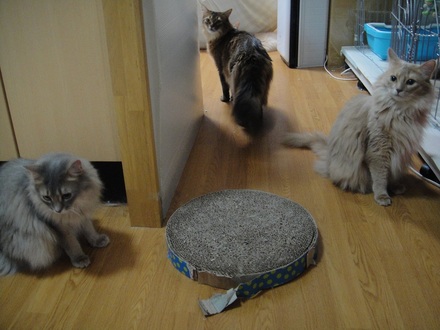 2012052100.jpg