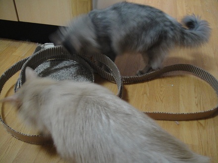 2012052101.jpg