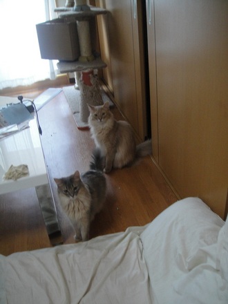 2012052300.jpg