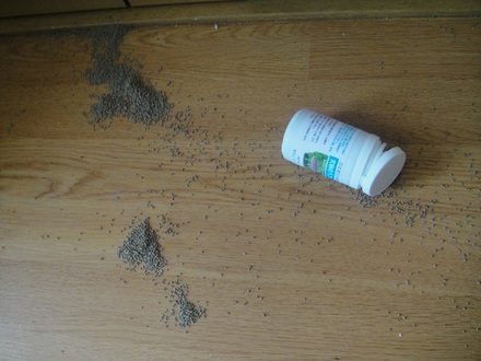 2012052301.jpg