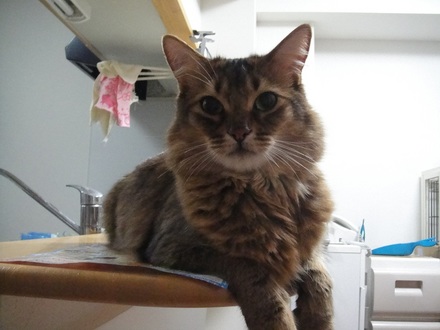 2012052400.jpg