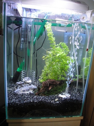 2012052600.jpg