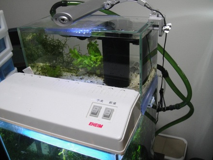 2012052601.jpg
