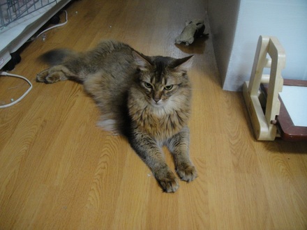 2012052602.jpg