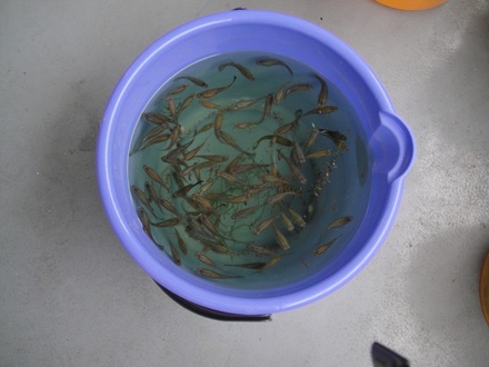 2012052603.jpg