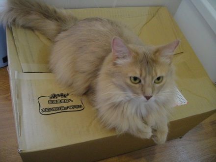 2012052700.jpg