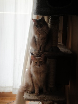 2012052900.jpg