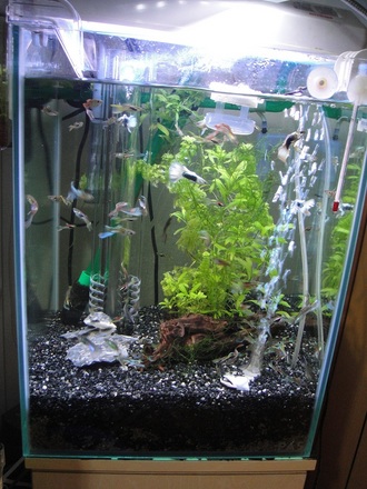 2012053000.jpg