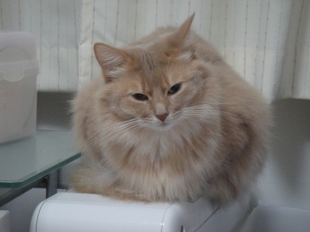 20120600.jpg