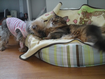 20120603.jpg