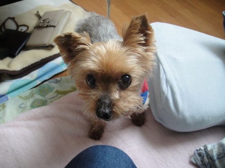 2012060300.jpg