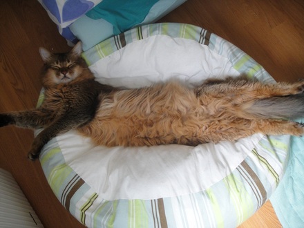 201206110.jpg