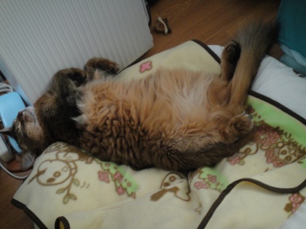 2012061101.jpg