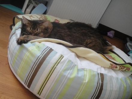 2012061103.jpg