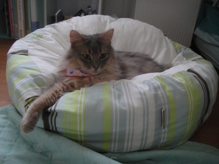 2012061200.jpg