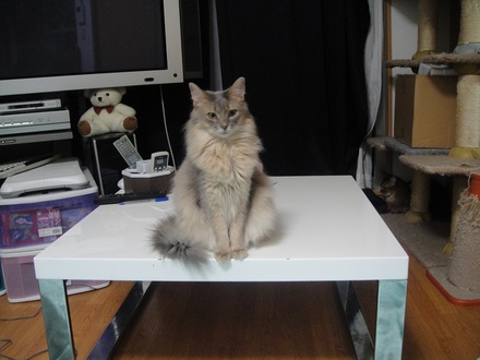 2012061700.jpg