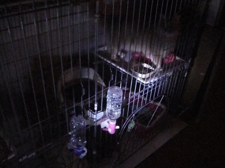 2012062001.jpg