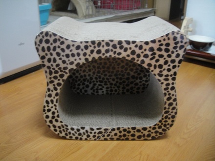 2012062300.jpg