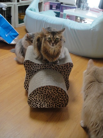 2012062302.jpg