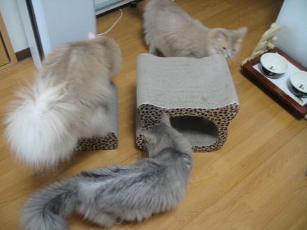 2012062303.jpg