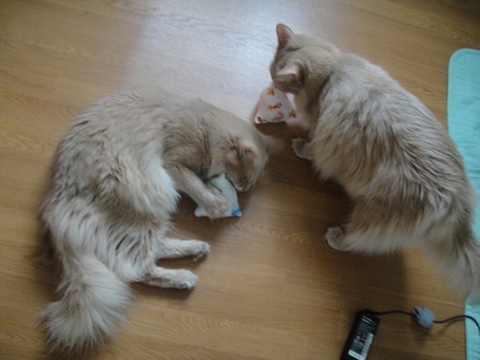 2012062801.jpg
