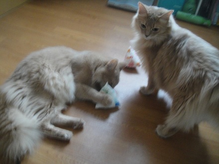 2012062802.jpg