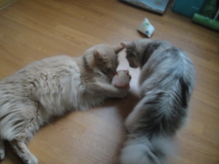 2012062803.jpg
