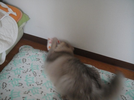 2012062804.jpg