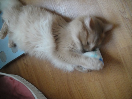 2012062805.jpg