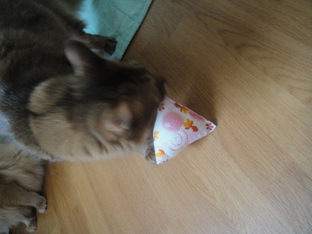 2012062806.jpg
