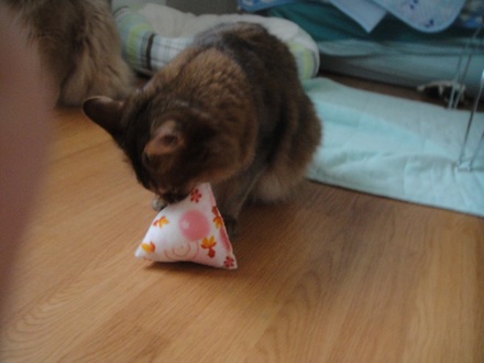 2012062807.jpg
