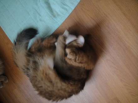 2012062808.jpg