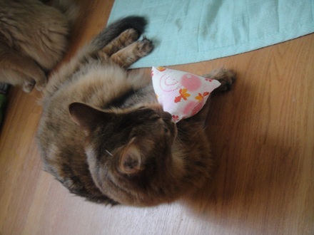 2012062809.jpg
