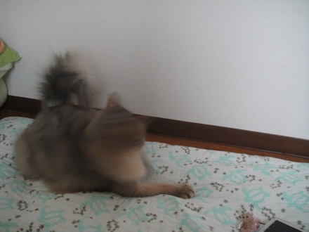 2012062810.jpg