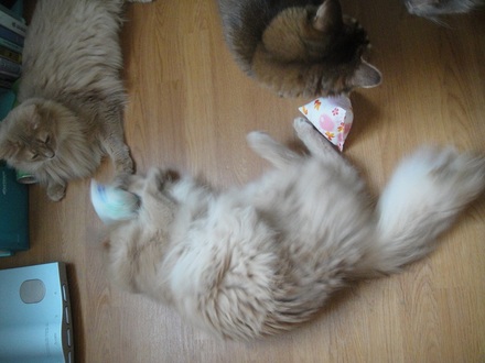 201206300.jpg