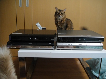 2012070100.jpg