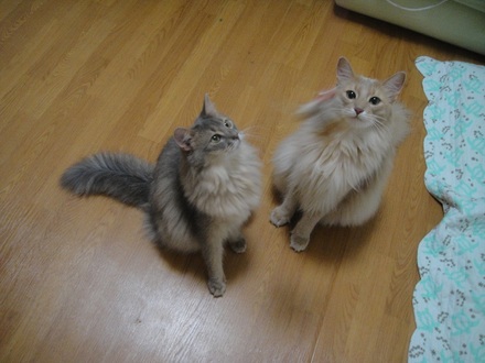 2012070201.jpg