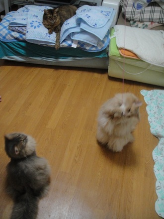 2012070202.jpg
