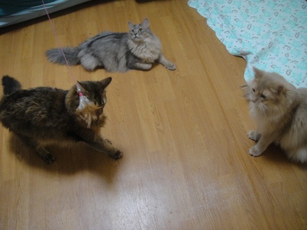 2012070203.jpg