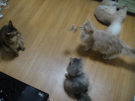 2012070204.jpg