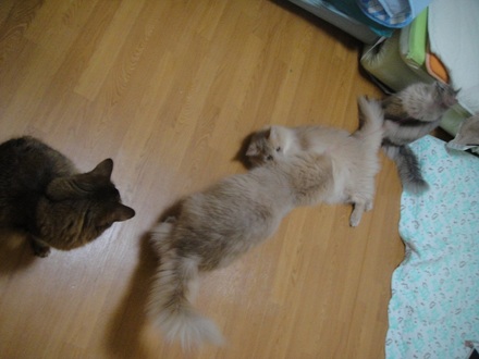 2012070205.jpg