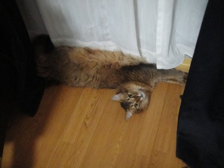 2012070600.jpg