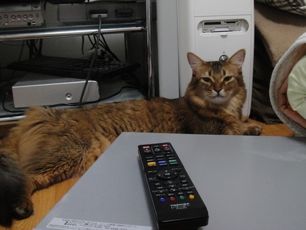 2012070700.jpg